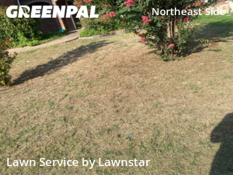 Lawn Cut nearby Schertz, TX, 