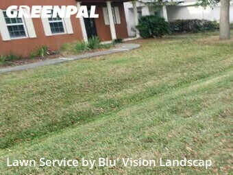Lawn Cut nearby Tampa, FL, 