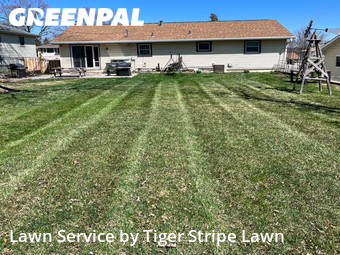 Lawn Mow nearby Omaha, NE, 