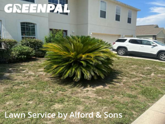 Yard Cutting nearby Newberry, FL, 