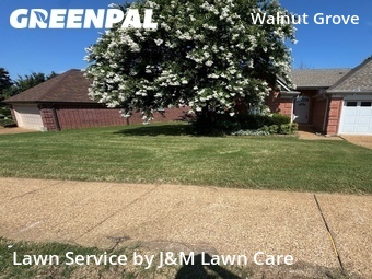 Lawn Care nearby Memphis, TN, 