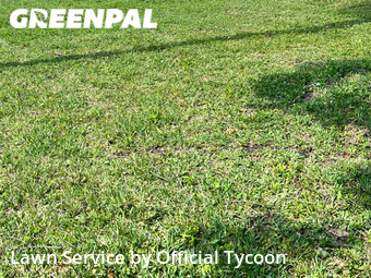 Lawn Care Service nearby Palm Coast, FL, 
