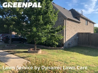 Lawn Mow nearby Rowlett, TX, 