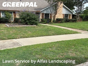 Lawn Mowin Richardson,75081,Lawn Mowing by Alfas Landscaping, work completed in Jun , 2026