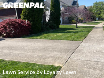Lawn Mow nearby Lexington, KY, 