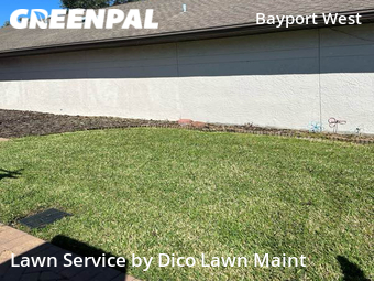 Grass Cut nearby Tampa, FL, 