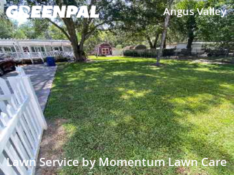 Lawn Cutting nearby Wesley Chapel, FL, 