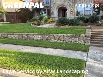 Grass Cutting nearby Plano, TX, 