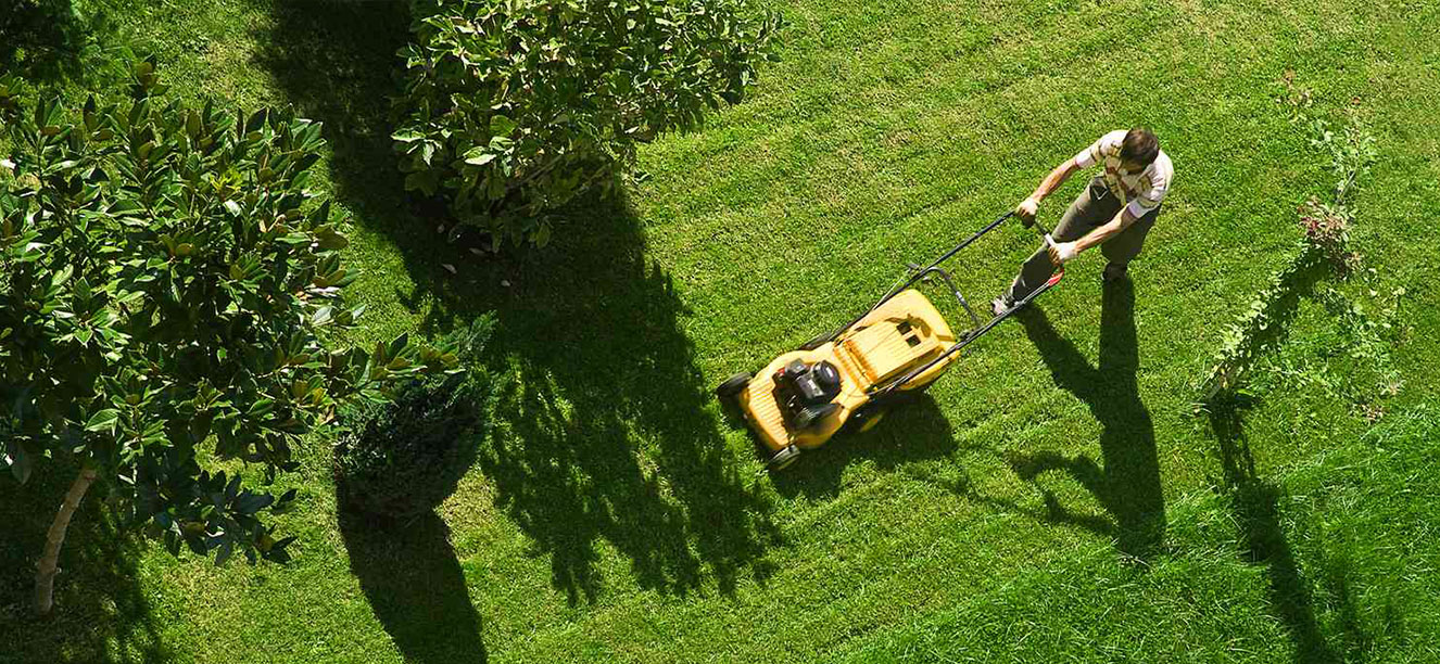 The Best Lawn Mowers of 2024 Survey: 5 Interesting Takeaways