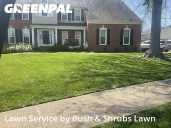 Lawn Cut nearby Franklin, TN, 