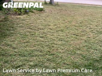 Lawn Care nearby Omaha, NE, 