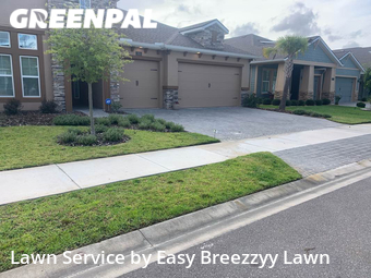 Grass Cut nearby Daytona Beach, FL, 