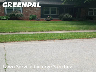 Lawn Cut nearby Carmel, IN, 