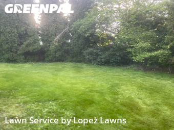 Lawn Care nearby Shoreline, WA, 