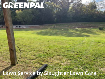 Grass Cutting nearby Powell, TN, 