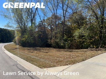 Grass Cut nearby Shawnee, MO, 