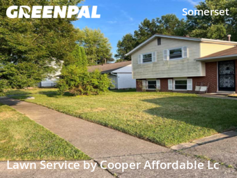 Lawn Cut nearby Columbus, OH, 