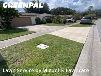 Lawn Cutting nearby Orlando, FL, 