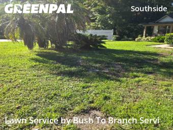 Grass Cutting nearby Jacksonville, FL, 