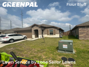 Lawn Mow nearby Corpus Christi, TX, 