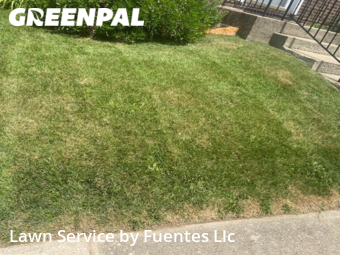 Lawn Cut nearby Nottingham, MD, 