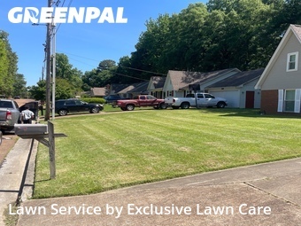 Yard Cutting nearby Olive Branch, TN, 