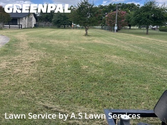 Grass Cut nearby Cibolo, TX, 