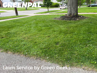 Lawn Maintenance nearby Shaker Heights, OH, 