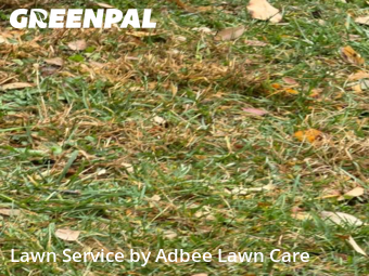 Yard Care in Urbana, 61801, Turf Services by Adbee Lawn Care, work completed in Dec , 2025