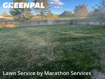 Grass Cutting nearby Westminster, CO, 
