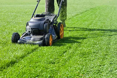 Fatboy's small engine repair