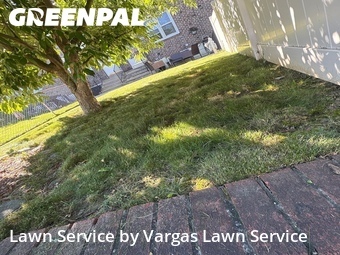 Lawn Mow nearby Upper Darby Township, PA, 