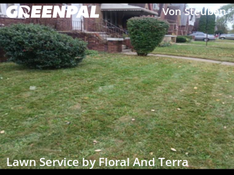 Grass Services in Detroit, 48234, Yard Care Services by Floral And Terra , work completed in Nov , 2025