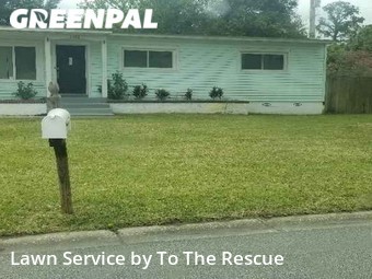 Yard Cutting nearby Jacksonville Beach, FL, 