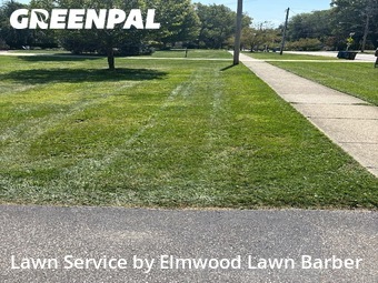 Grass Cut nearby Bay Village, OH, 