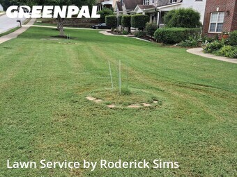 Lawn Cutting nearby Dacula, GA, 