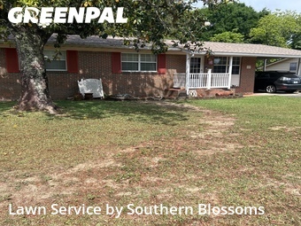 Lawn Cut nearby Fort Walton Beach, CA, 
