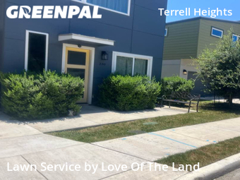 Grass Cutting nearby San Antonio, TX, 