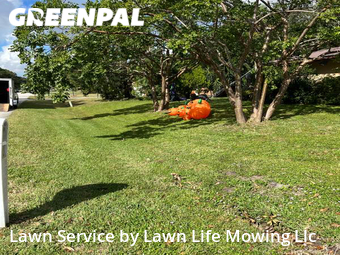 Yard Cutting nearby Palm Bay, FL, 