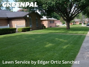 Lawn Cut nearby Richardson, TX, 