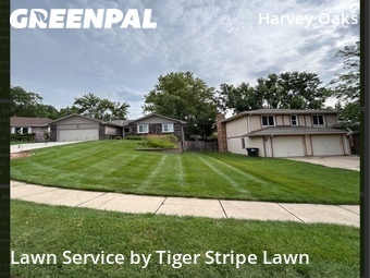 Lawn Maintenance nearby Omaha, NE, 