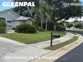 Yard Mowing nearby Trinity, FL, 