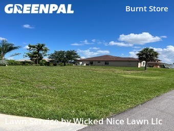 Yard Mowing nearby Cape Coral, FL, 