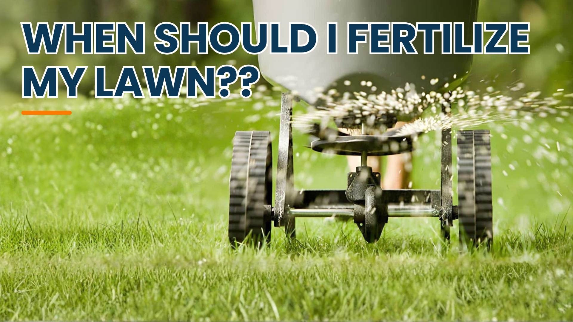When should I fertilize my lawn??