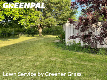 Lawn Cut nearby Indianapolis, IN, 