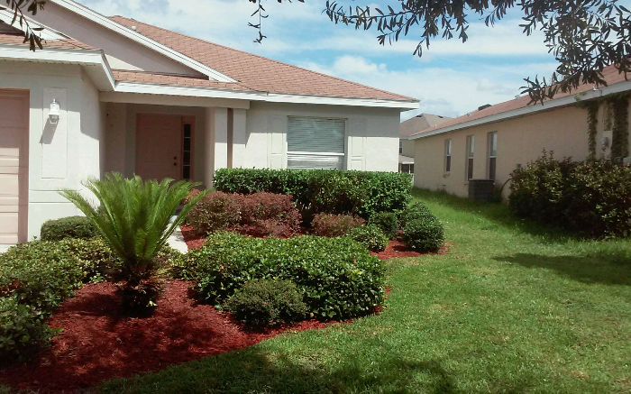 Work Image 4