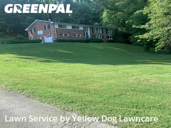 Lawn Service nearby Nashville Davidson, TN, 
