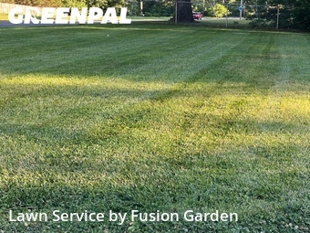 Lawn Maintenance nearby Germantown, MD, 