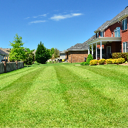 the-yard-cutting-businesses-in-Bridgeport-CT