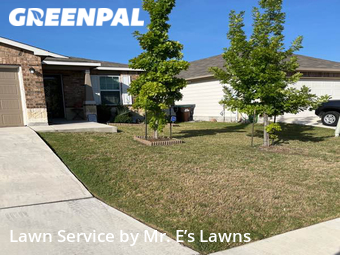 Lawn Cut nearby San Antonio, TX, 